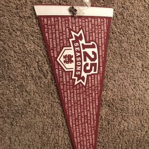 Mississippi State Bulldogs Pennant & Pin Bundle